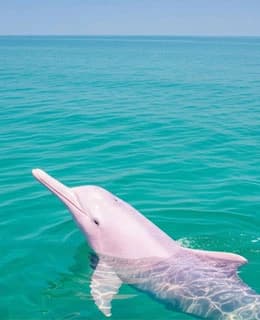 Khanom tours