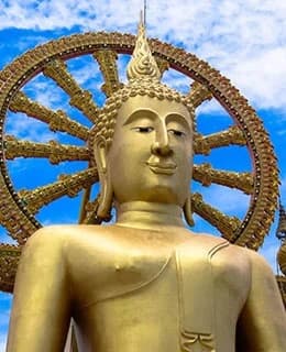 Koh Samui tours