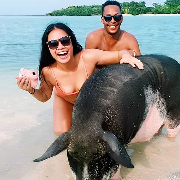 private pig island tour koh samui
