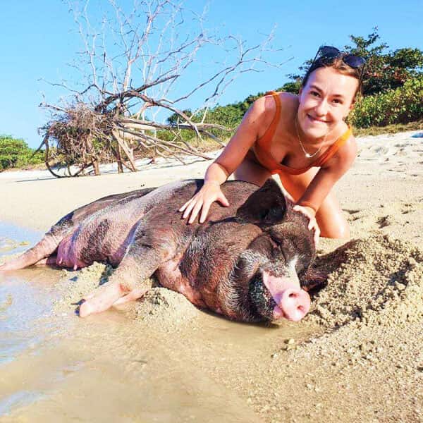 private tour koh samui to pig island speedboat