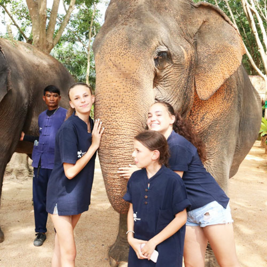 half day elephant care samui elephant home