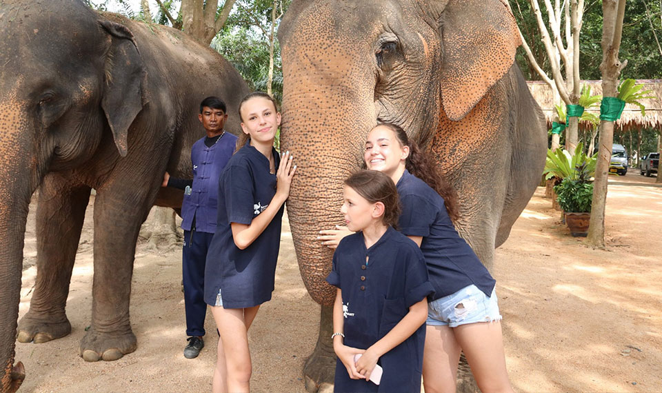 samui elephant home family friendly tour koh samui