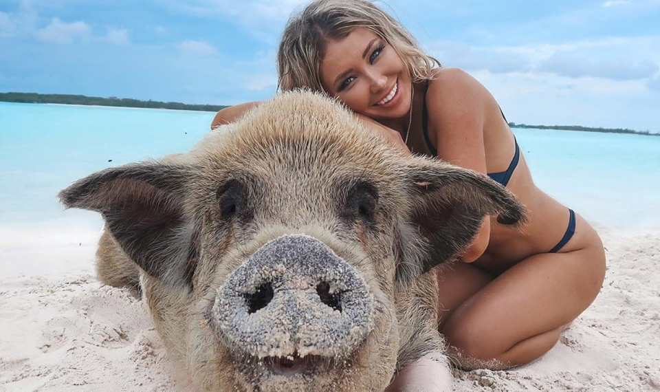 Tourist enjoying a close encounter with a friendly pig on Pig Island, a unique attraction of Samui tours