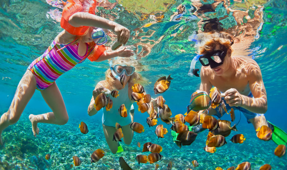 private-snorkeling-tour-koh-tao private snorkeling tour koh tao