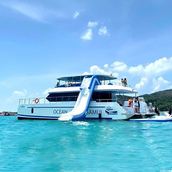 pig island tour ocean king samui