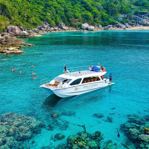 angthong marine park speed catamaran koh samui