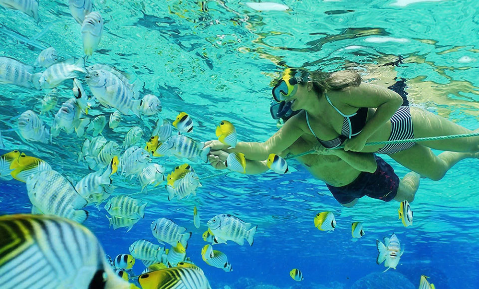 snorkeling angthong marine park